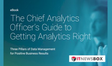 The Chief Analytics Officers Guide To Getting Analytics Right