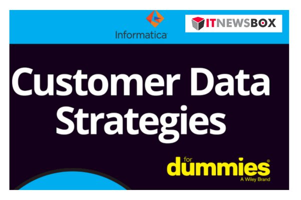 Customer Data Strategies For Dummies