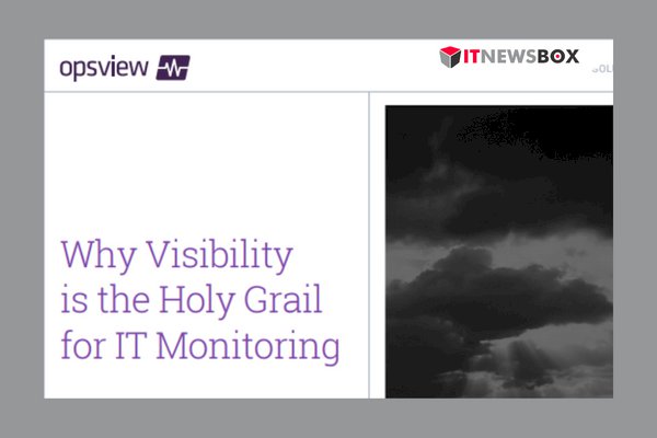 Why Visibility Is The Holy Grail For It Monitoring.